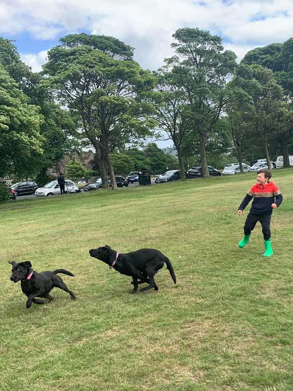 Harvey at Sunnyview Kennels